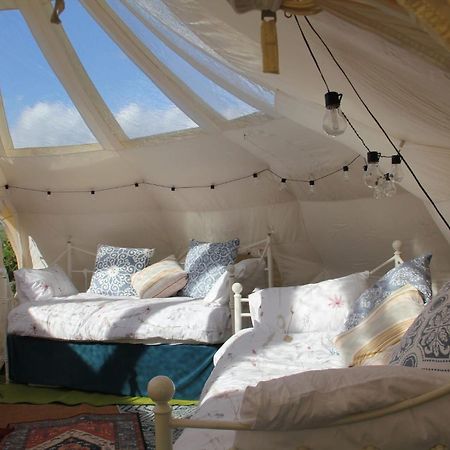 Tal-Y-Fan Farm 6M Stargazer Tent Bridgend  Bagian luar foto